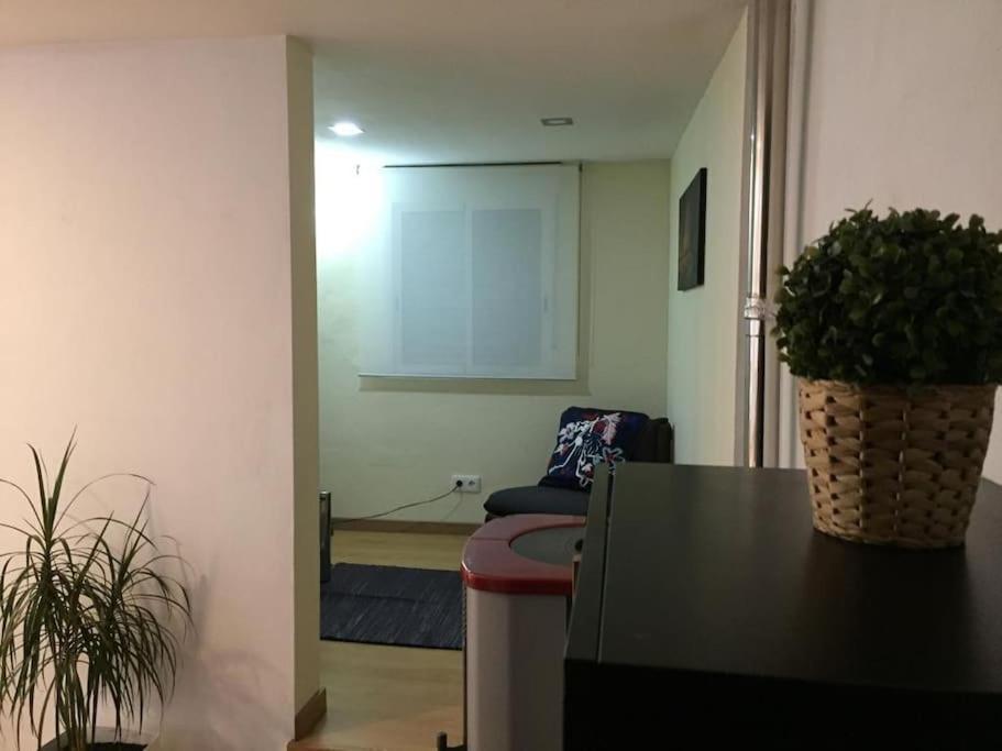 My City House Apartment Braganca Exterior photo
